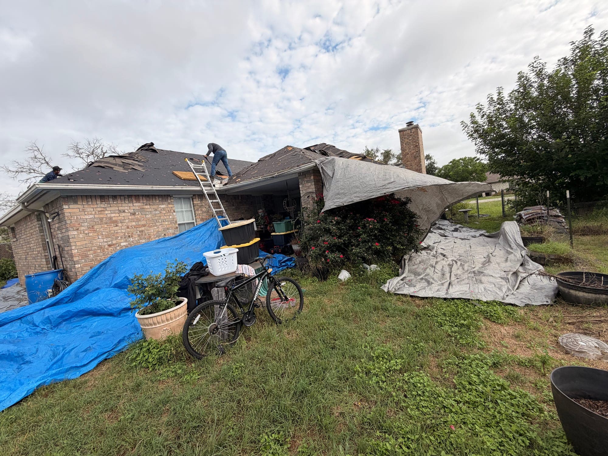 Crew member climbing to a hail damaged roof, tarps protecting the patio below